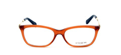 Coach HC 6114 Eyeglasses 53-16-140 Amber w/Demo Clear Lens 5502 HC6114